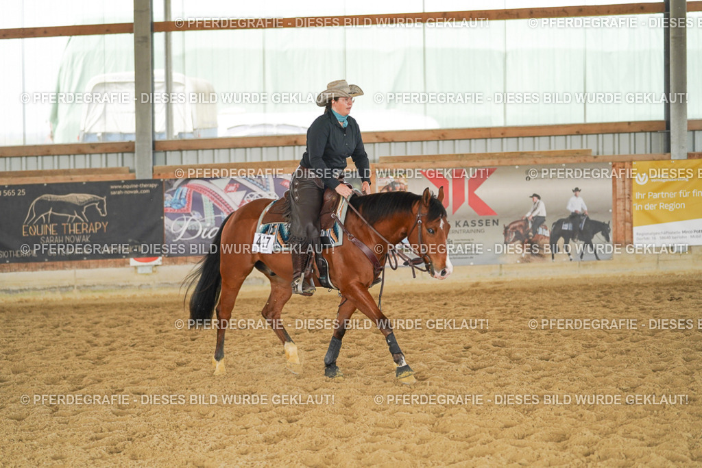 DSC06146 | Pferdegrafie