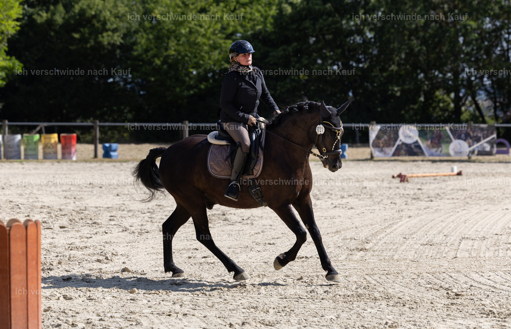 WA_Trail_21_KerstinBernhardt-9 | working equitationturnier fotograf videograf stoibphotography marixx film working equitation deutschland reitsport turnierfotografie eventfotografie equestrian events