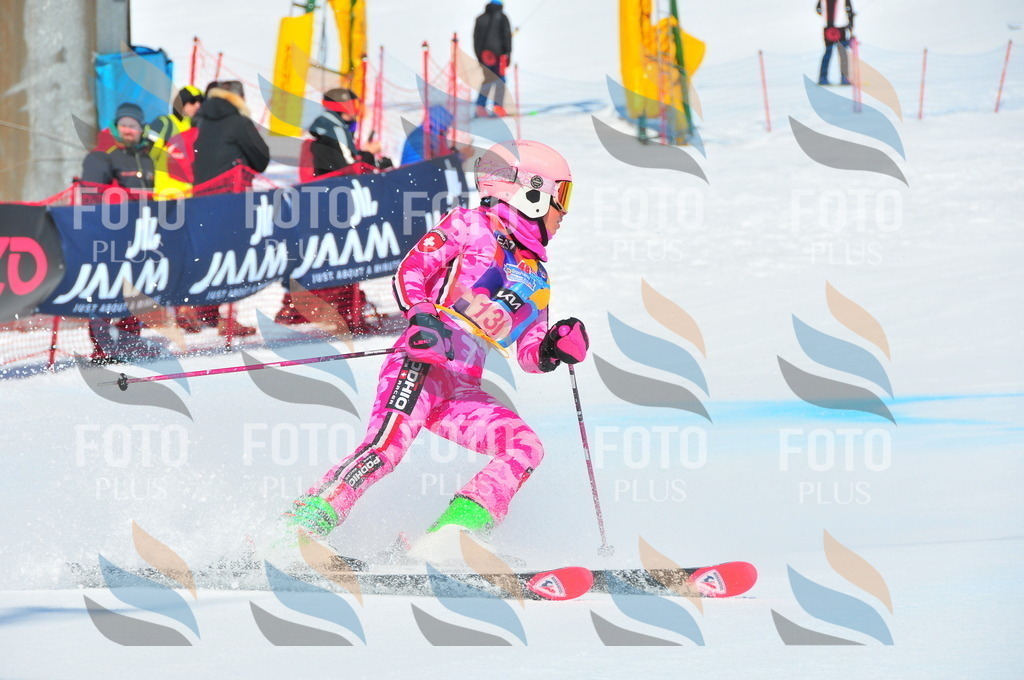 DSC_4884 | holidayphoto