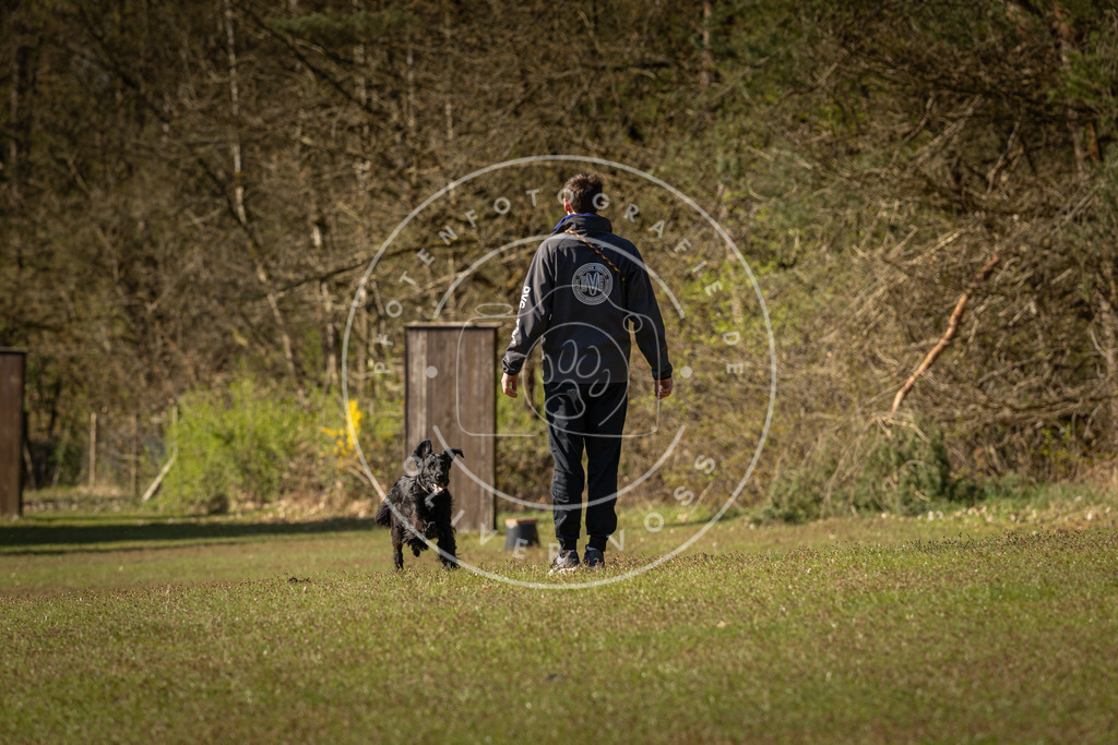 Pfotenfotografie_DV3A0211 | Hundefotografie, Tierfotograf, Pfotenfotografie, Fotoshooting Hund, Hunde Portrait, Hundesport, Hundeportraits, Heideshooting, Hunde, Sportfotograf, Hundefotograf, Turnierhundsport, THS,  - Realisiert mit Pictrs.com