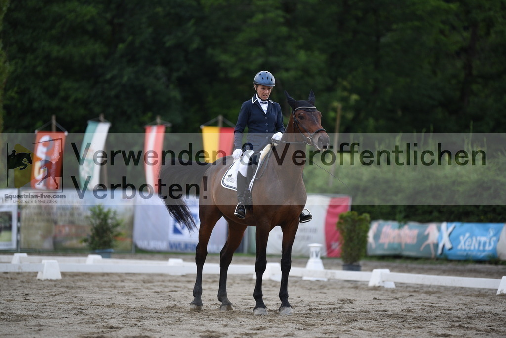 DSC_6682 | equestrian-live-com