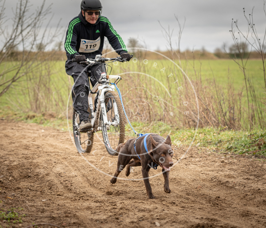 DV3A0899 | Hundefotografie, Tierfotograf, Pfotenfotografie, Fotoshooting Hund, Hunde Portrait, Hundesport, Hundeportraits, Heideshooting, Hunde, Sportfotograf, Hundefotograf, Turnierhundsport, THS,  - Realisiert mit Pictrs.com