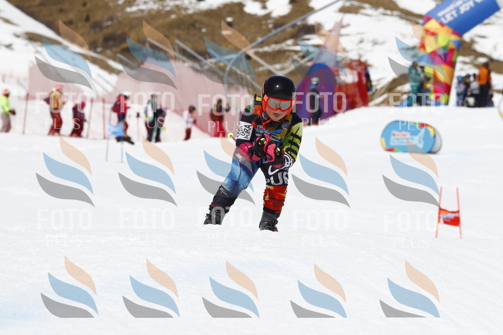 _U3G8015 | holidayphoto