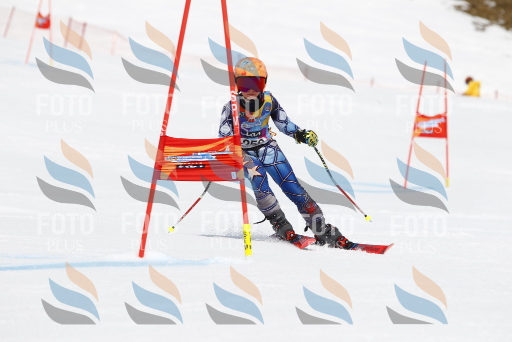 _U3G6365 | holidayphoto