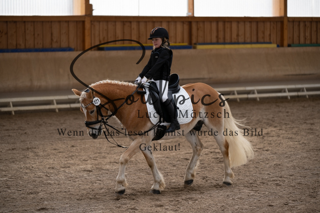 A7V09265 | Pferdefotograf