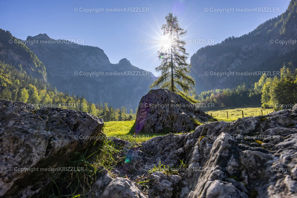 Königssee | medienkrizzler - Realisiert mit Pictrs.com