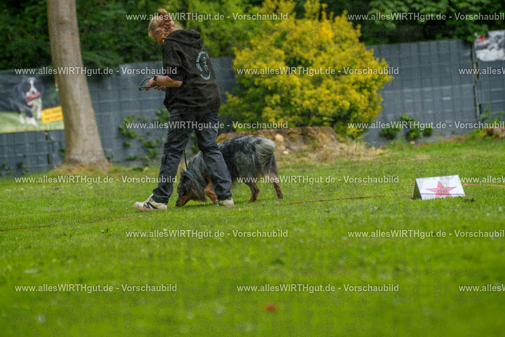 @allesWIRTHgut_Tierfotografie - www.allesWIRTHgut.de - 123612-7R509183 | Professionelle Tierfotografie in Mönchengladbach von Daniel Wirth (allesWIRTHgut). Liebevolle & natürliche Bilder von Hunden & Katzen für unvergessliche Erinnerungen.
