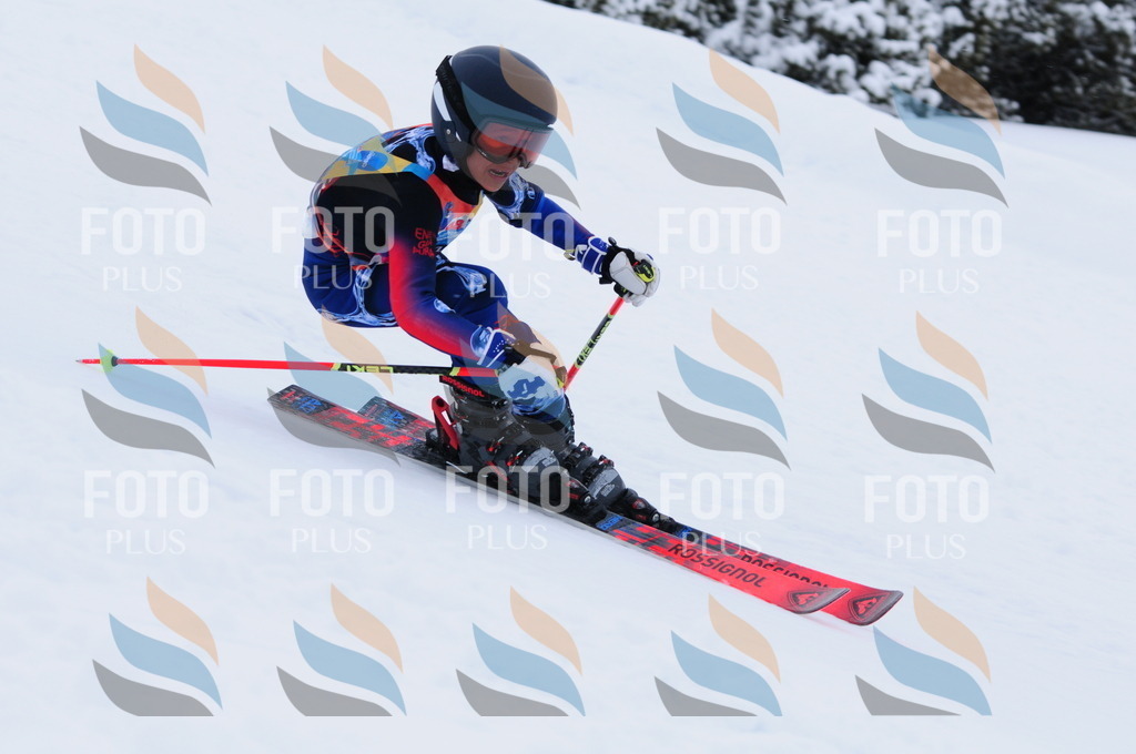 C3180 | holidayphoto