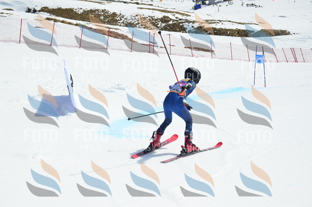 _ELE1261 | holidayphoto