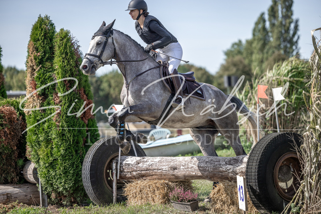 20250907-_3LI0022 | Tierfotografie Pferde, Hunde, Katzen, Haustiere.
Turnierfotografie Reitturniere, Reiten, Springreiten, Dressur in Hanau, dem Main-Kinzig-Kreis und dem Rhein-Main- Gebiet um Frankfurt