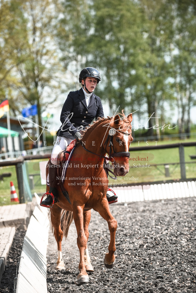 DSC_9036 | Pferde- und Turnierfotografie in Westsachsen. Pferdeportraits, Auftragszeichnungen und intuitive Kunst.
