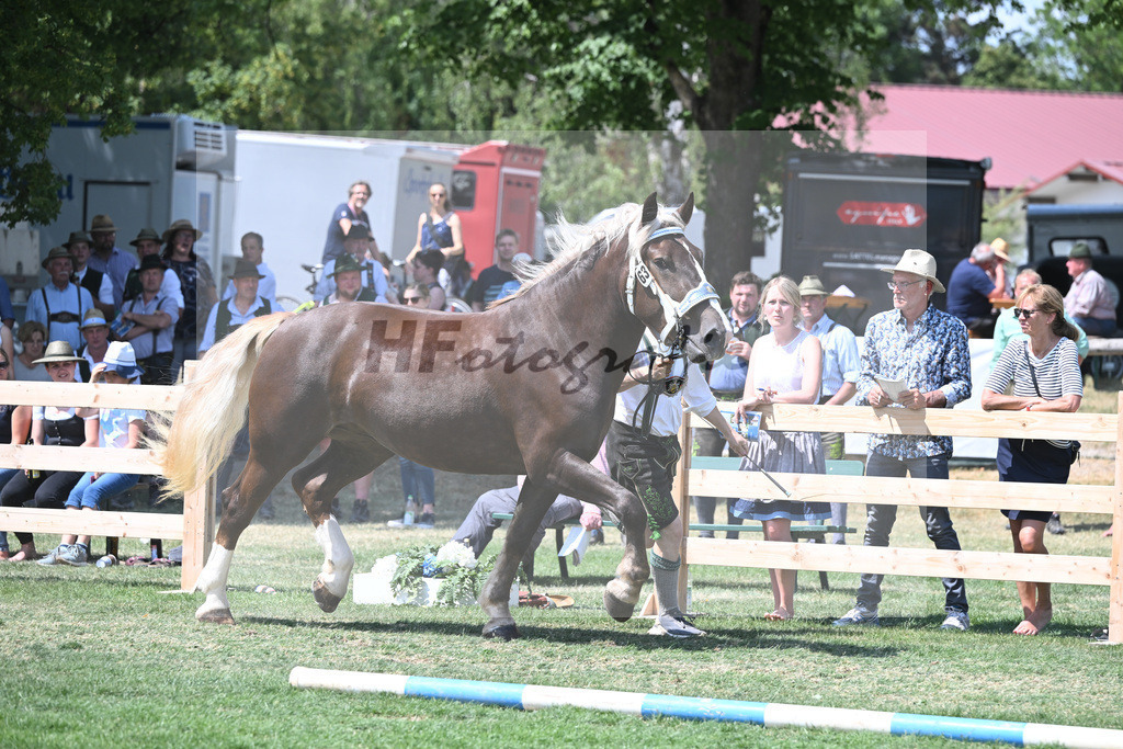 Kat-Nr. 63 Isar_Zwickl_20231035 | hf-fotografie - Realisiert mit Pictrs.com