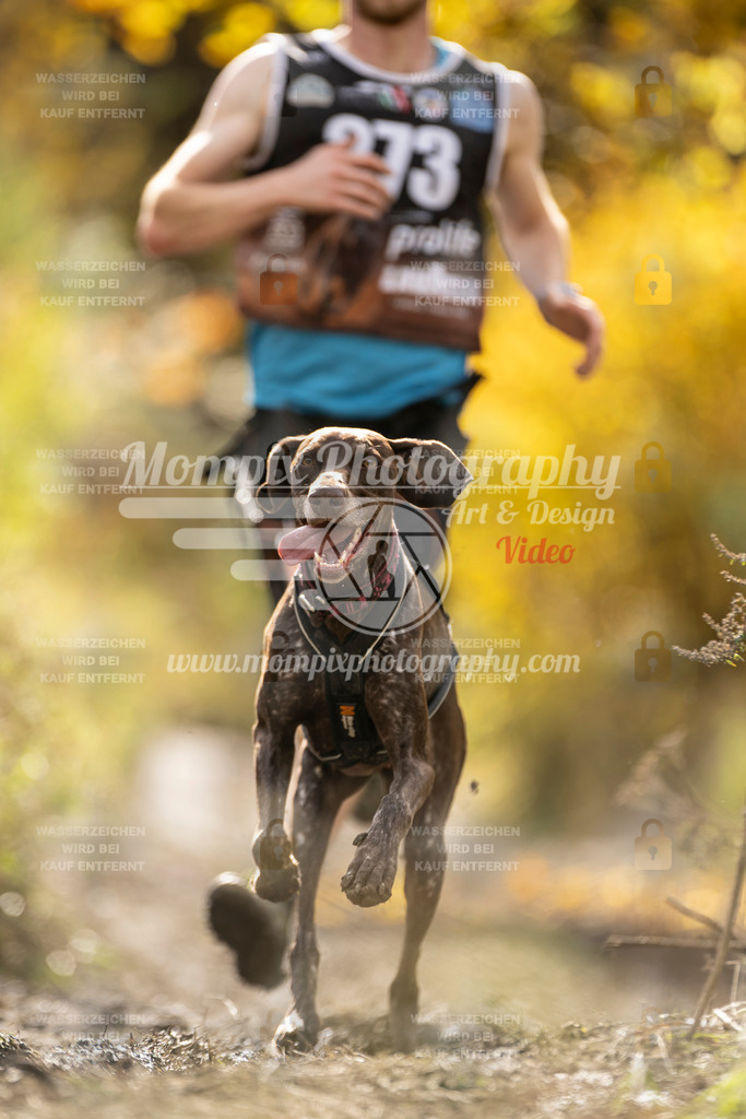 MompixPhotography_ICF_WC_2024_SA_Run_-69 | PayLife