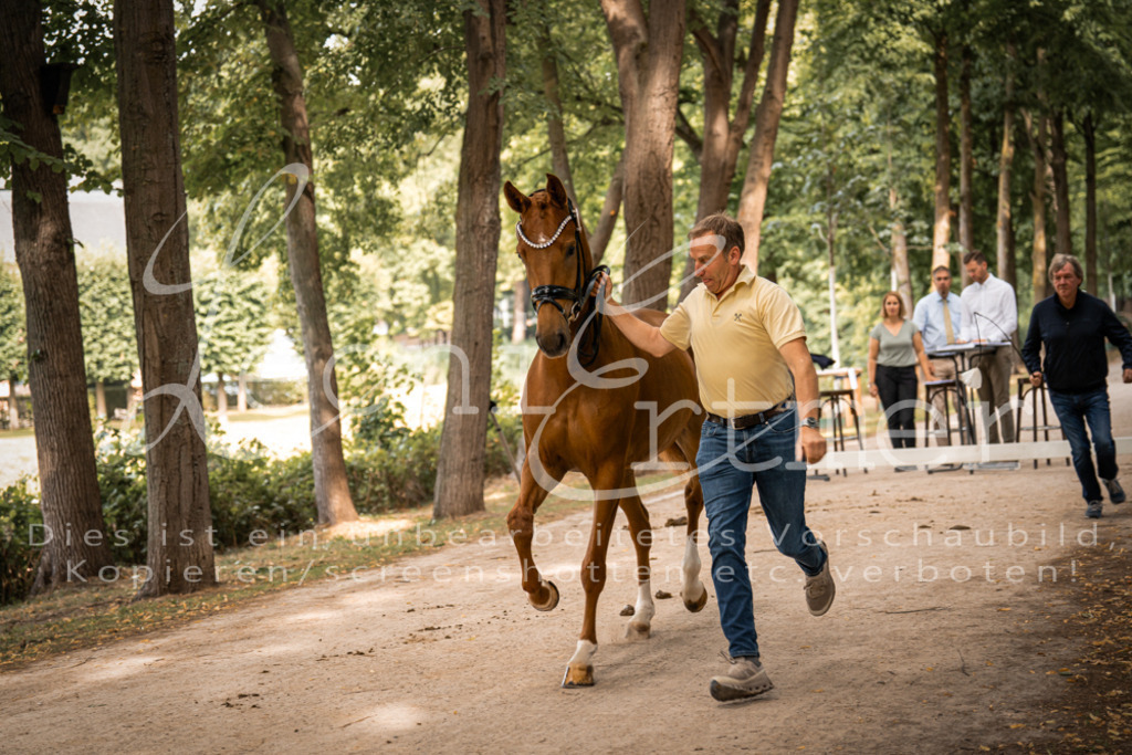 FrPfM00095 | Leoni Ertmer Photography - Realisiert mit Pictrs.com