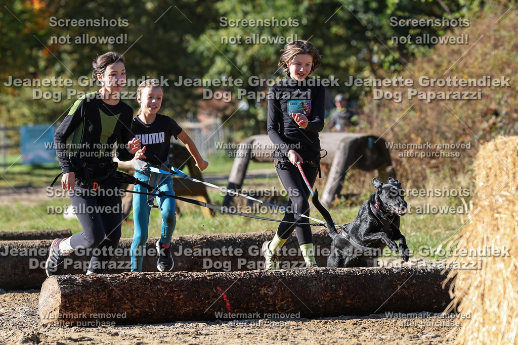 Dog Paparazzi - Strongdog 10-25-2540 | Dog Paparazzi Jeanette Grottendiek Fotografie & Videografie - Realisiert mit Pictrs.com