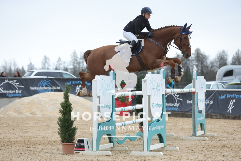 0P6A5358 | Willkommen bei Brunnmayr - Design & Fotografie – Ihrem Spezialisten für Reitturniere und Pferdeveranstaltungen in Oberösterreich, Salzburg und Bayern! Seit über 17 Jahren sind wir leidenschaftlich dabei.