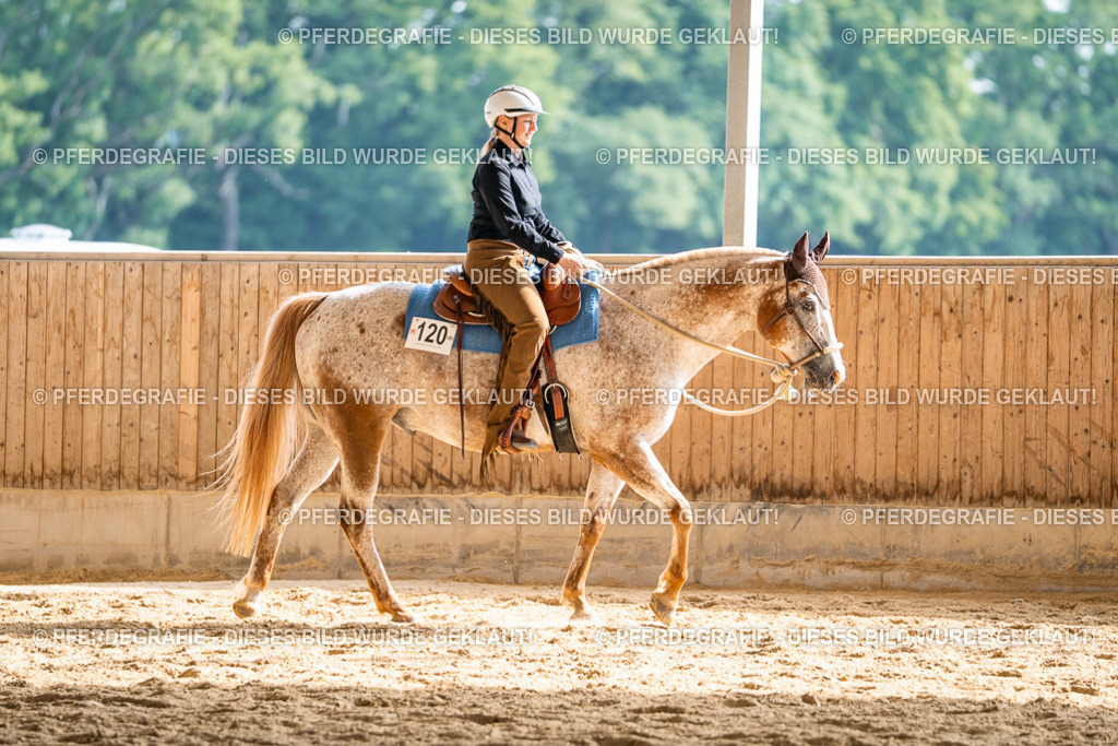 DSC08499 | Pferdegrafie