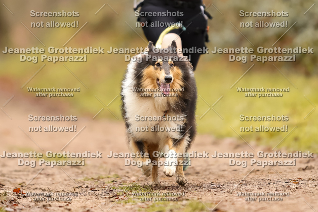 Dog Paparazzi - Speedhunter Mannheim  2025-163 | Dog Paparazzi Jeanette Grottendiek Fotografie & Videografie