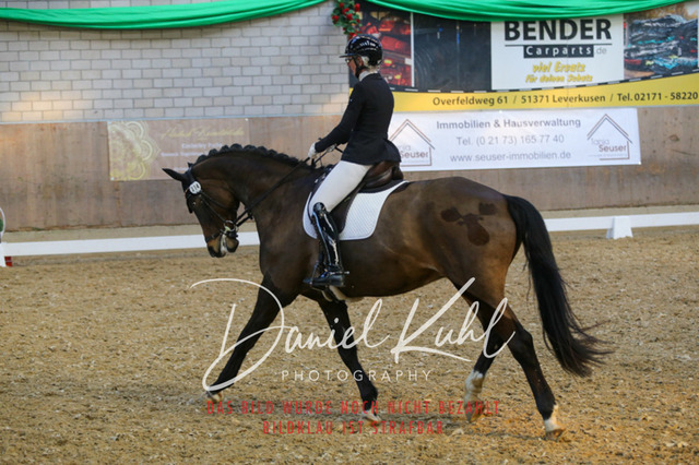 IMG_2711 | Turnierfotos kaufen im Webshop von Daniel Kuhl Photography – entdecke professionelle Reitsportfotos aus Turnieren & Events. Hochwertige Turnierbilder online bestellen & sichern. Jetzt Fotos von Reitsportturnieren kaufen!