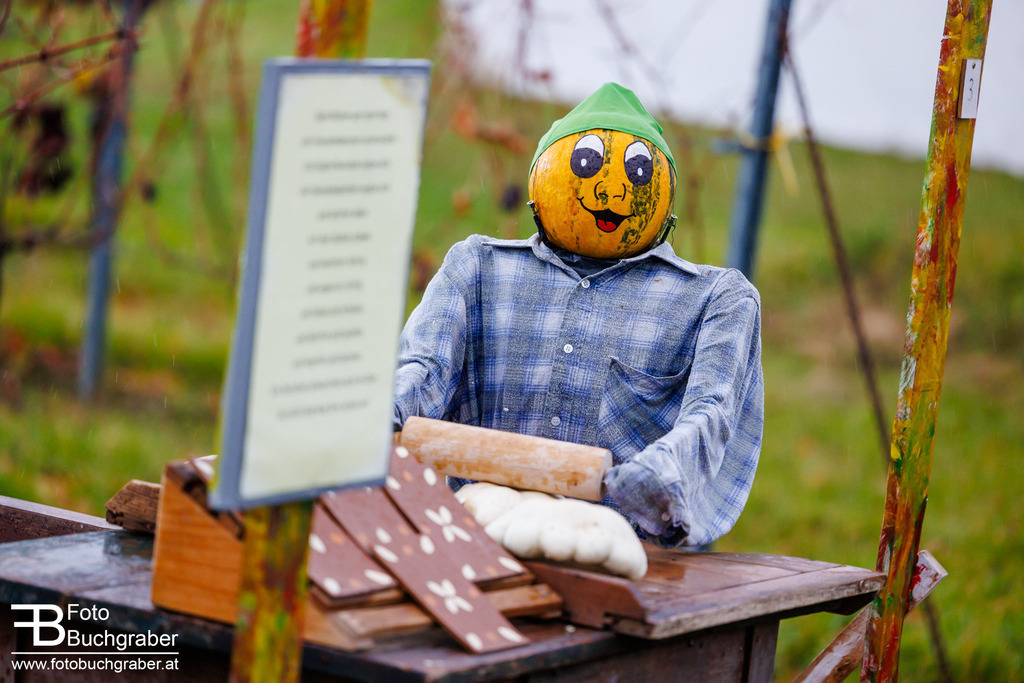 0135_B5_23095 | Foto Buchgraber