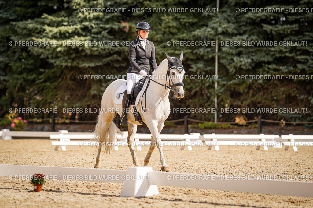 DSC01117 | Pferdegrafie