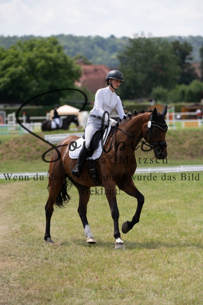 A7V00002 | Pferdefotograf