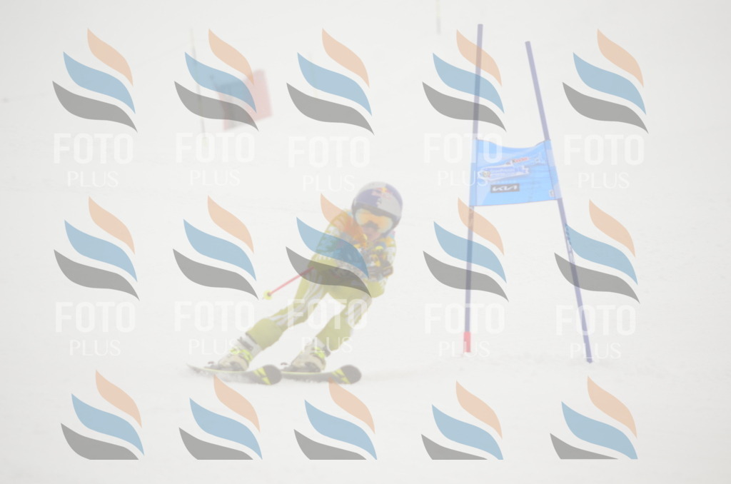 C1664 | holidayphoto