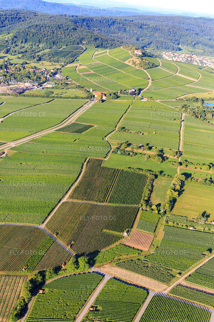 Luftbild: Weinberge in Bönnigheim im Bundesland Baden-Württemberg in Deutschland. Foto: IMG_093824.jpg vom 23.08.2016 durch Werner Riehm/FLY-FOTO.de