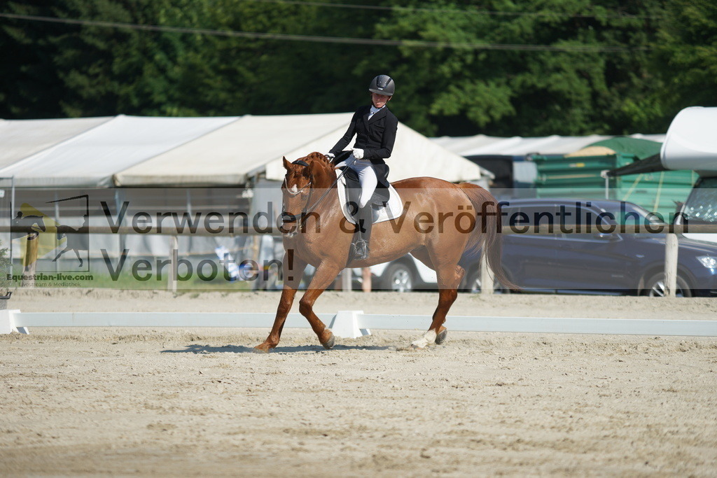 DSC02460 | equestrian-live-com