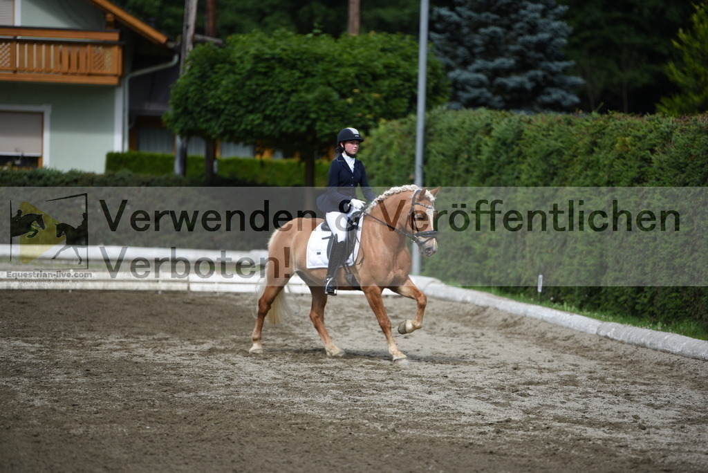 DSC_5015 | equestrian-live-com