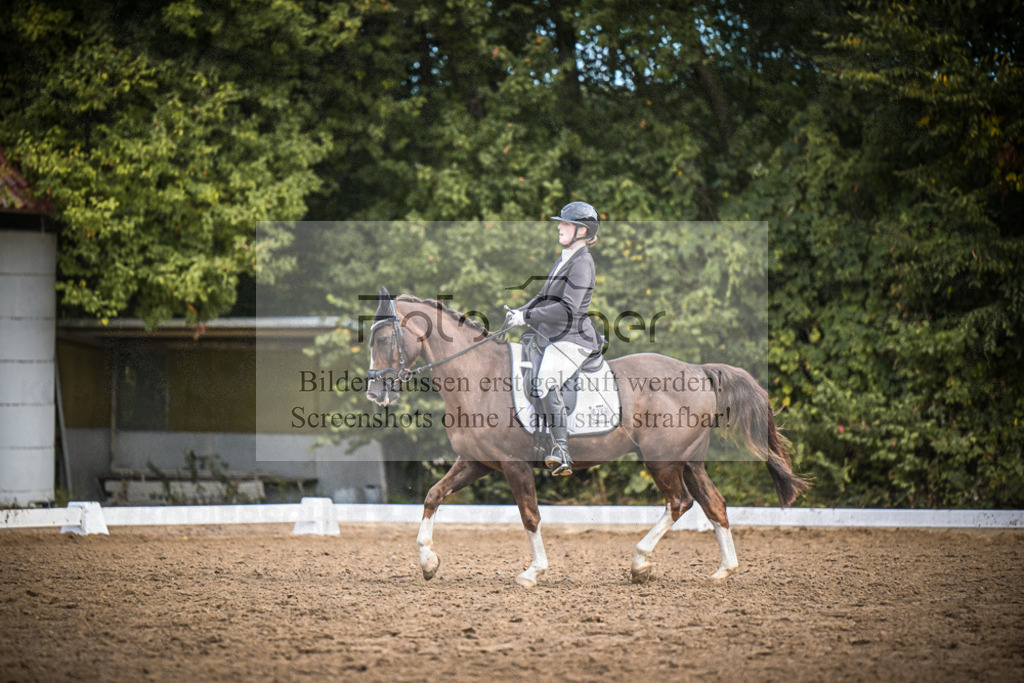 DOS_1952 | Entdecke hochwertige Reitturnierfotos von Foto Oger. Professionell, emotional und authentisch – jetzt Lieblingsmomente im Shop bestellen.Deutschlandweite Turnierfotografie. - Realisiert mit Pictrs.com