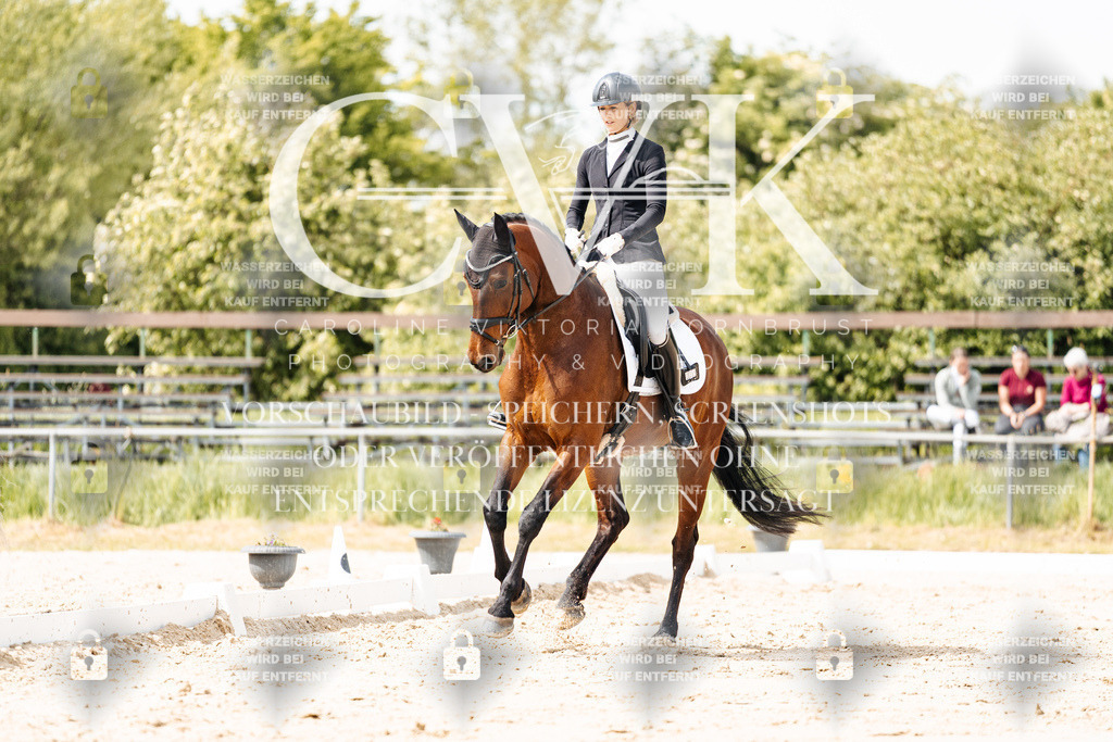 CK901537 | Turnierfotografie Pferdefotografie Trier Rheinland-Pfalz Pferdesport Reitsport Tierfotografie Sportfotografie Pferdevideo Pferdevideografie Equestrianvideography equestrianphotography  - Realisiert mit Pictrs.com