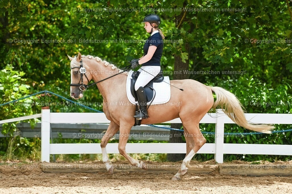 20230715_09_Dressur-WB_0548 | equistock