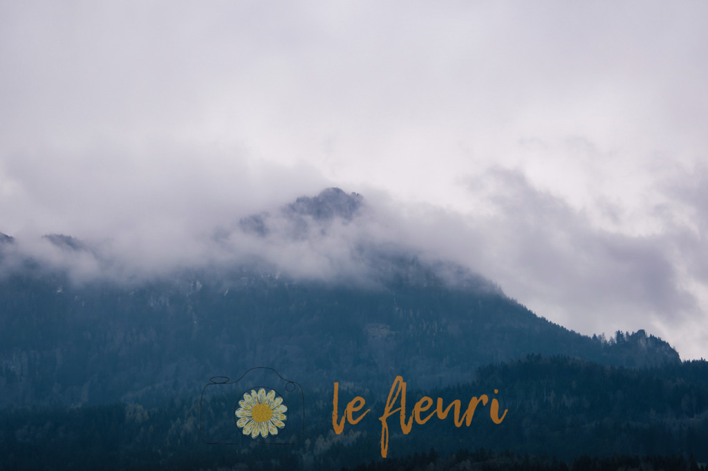 DSC_0075-NEF_DxO_DeepPRIME-2 | Dies ist der Shop von Florian Blum - le fleuri. Langenthal, Bern, SchweizSie können hier meine oder ihre eigenen Fotos als Fotoprodukte kaufen. Tassen, Schlüsselanhänger, Taschen etc. können Sie hier gestalten.  - Realisiert mit Pictrs.com