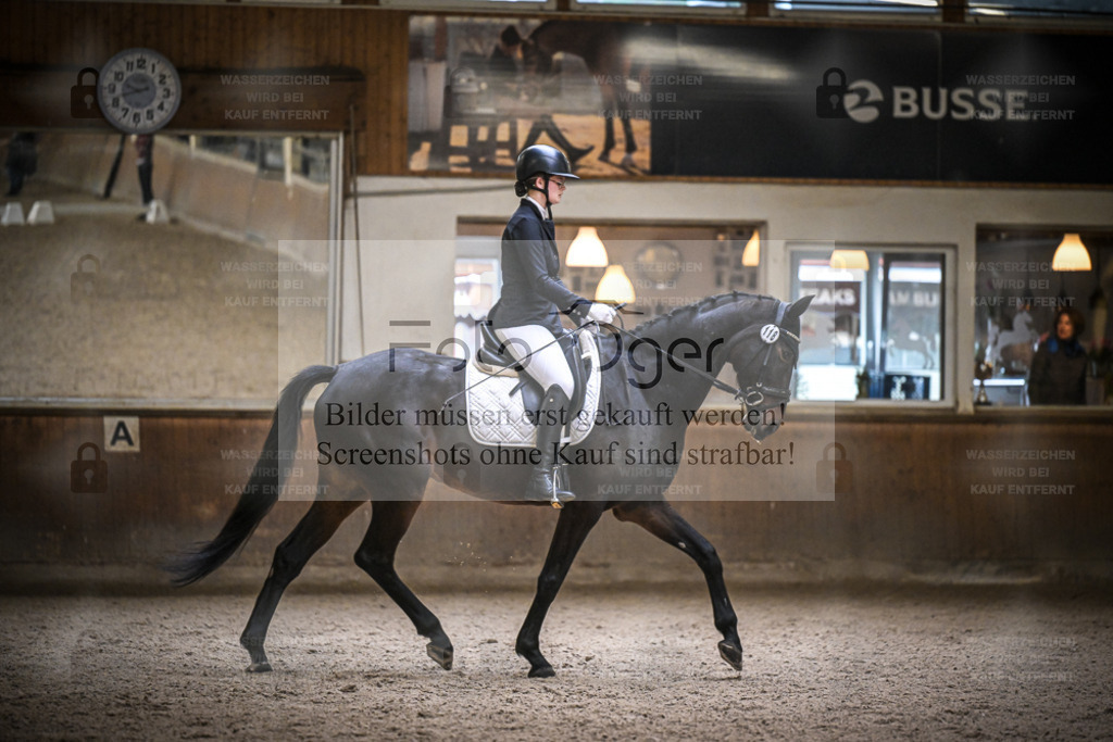 DOS_0452 | Entdecke hochwertige Reitturnierfotos von Foto Oger. Professionell, emotional und authentisch – jetzt Lieblingsmomente im Shop bestellen. - Realisiert mit Pictrs.com