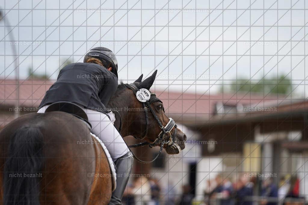 20240825-FAH00138 | Turnierbilder, Reitsportfotos, LAPO, Landesponyturnier, Turnierfotografen Bayern