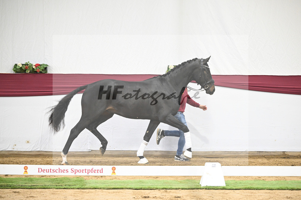Kat-Nr. 18 Escaneno x Fuerstenball_Stefan Holtwiesche_47250486 | hf-fotografie - Realisiert mit Pictrs.com