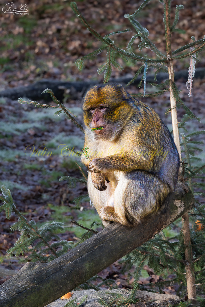 TPH 3 | Christian Vulin  - Realisiert mit Pictrs.com