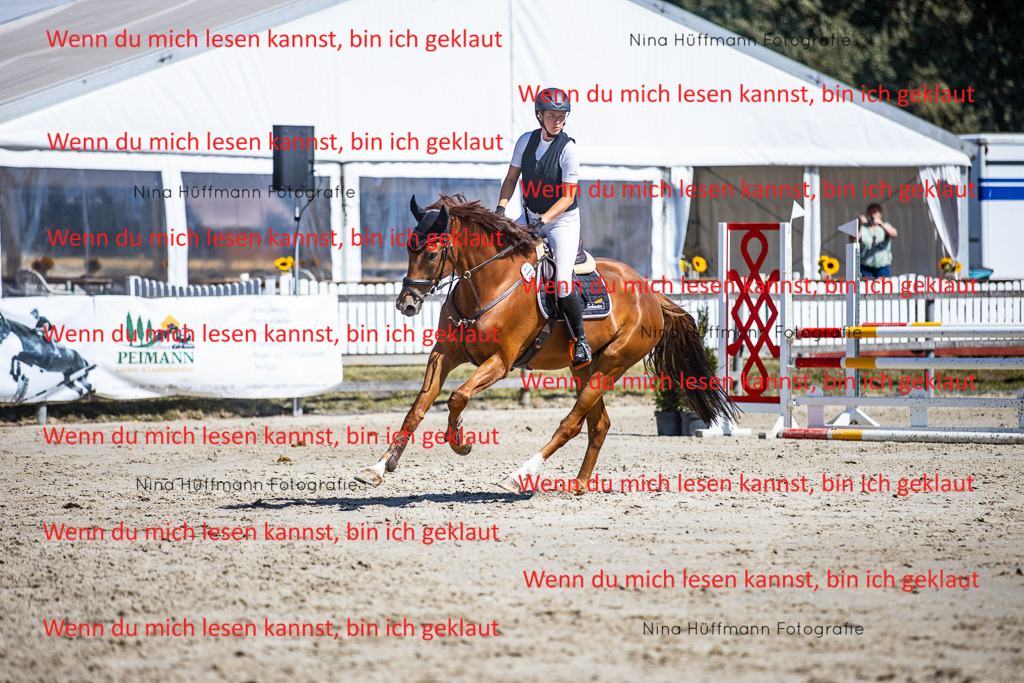 BK1A5509 | Turnierbilder Turnierfotos Nina Hüffmann Turnierfotografie Pferdefotografie Tierzeichnung Haustierzeichnung Pferdezeichnung Hundezeichnung Videograf  - Realisiert mit Pictrs.com