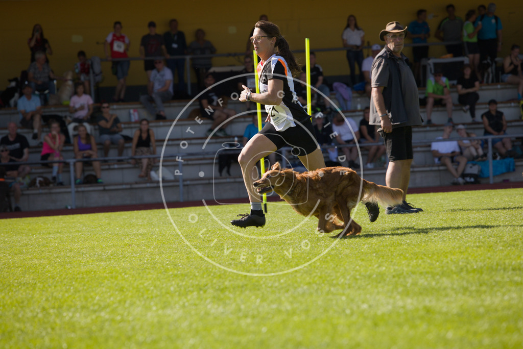 0L8A7874 | Hundefotografie, Tierfotograf, Pfotenfotografie, Fotoshooting Hund, Hunde Portrait, Hundesport, Hundeportraits, Heideshooting, Hunde, Sportfotograf, Hundefotograf, Turnierhundsport, THS,  - Realisiert mit Pictrs.com