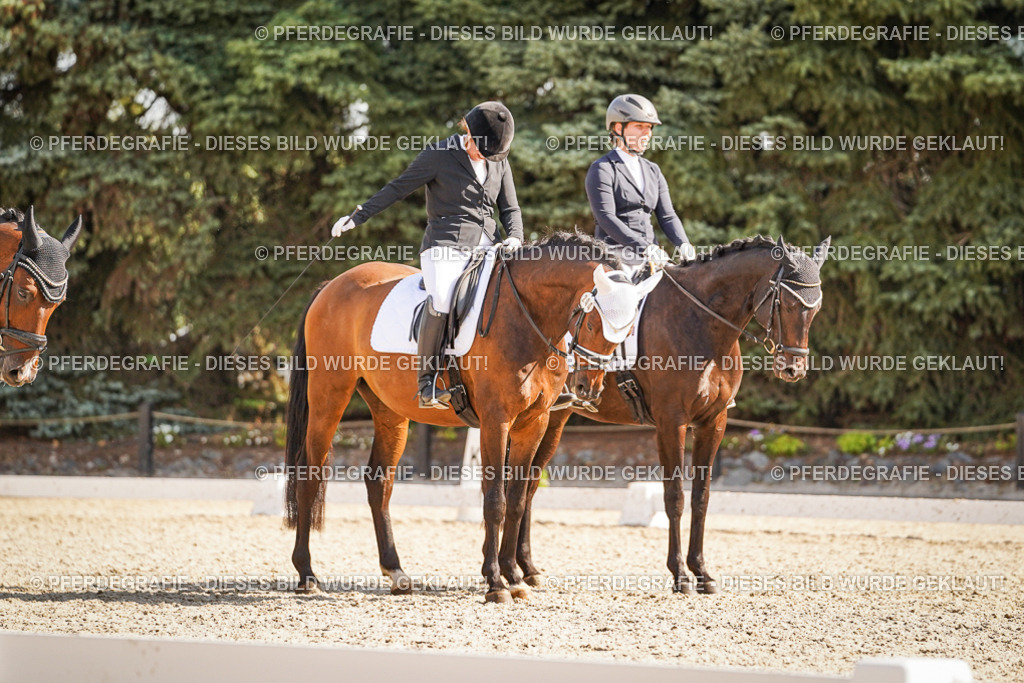 DSC00473 | Pferdegrafie