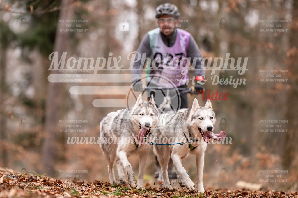 AKM_ST_2023_SAM_DS2-70 | PayLife