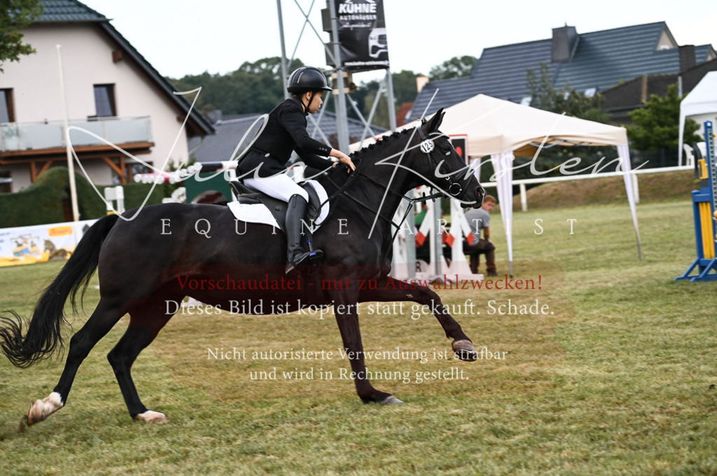 DSC_5735 | Pferde- und Turnierfotografie in Westsachsen. Pferdeportraits, Auftragszeichnungen und intuitive Kunst.