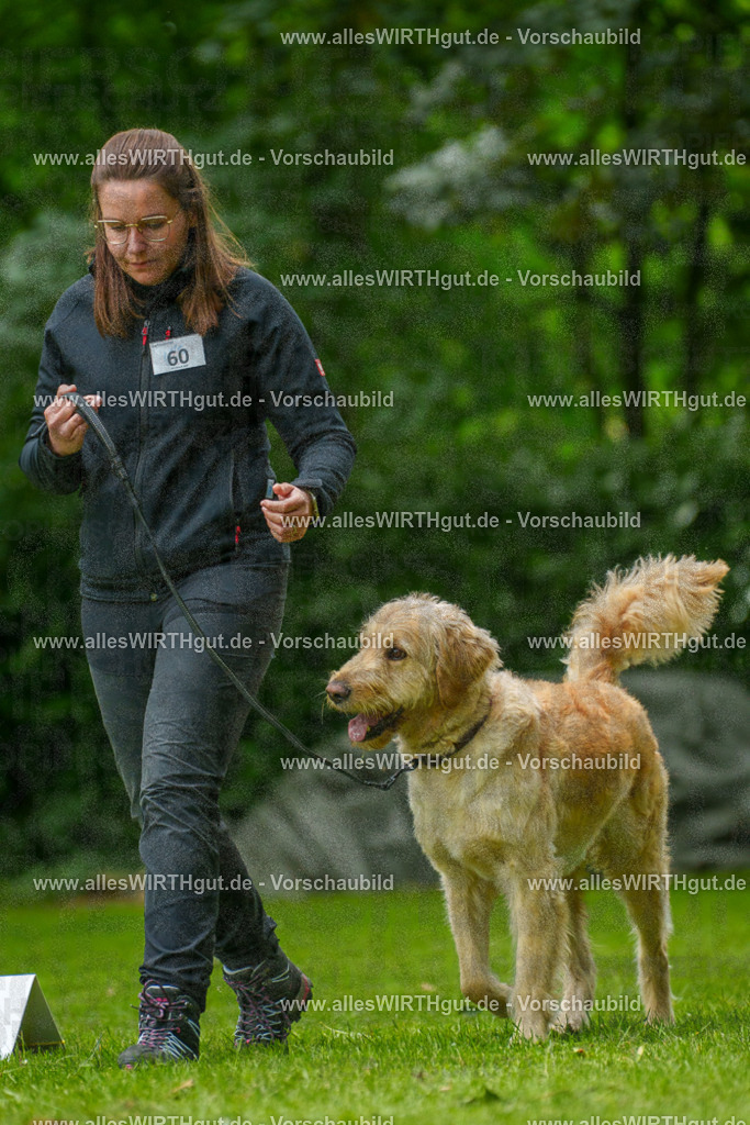 @allesWIRTHgut_Tierfotografie - www.allesWIRTHgut.de - 7R501528 | Professionelle Tierfotografie in Mönchengladbach von Daniel Wirth (allesWIRTHgut). Liebevolle & natürliche Bilder von Hunden & Katzen für unvergessliche Erinnerungen.