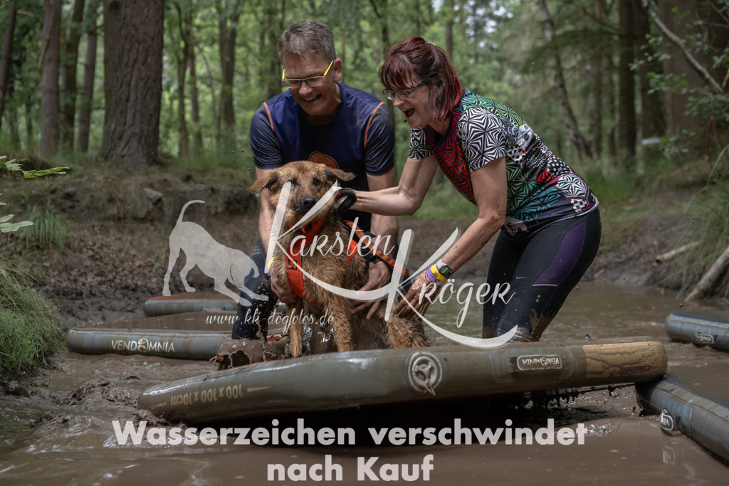 1335_ZZ94797 | kk-dogfotos