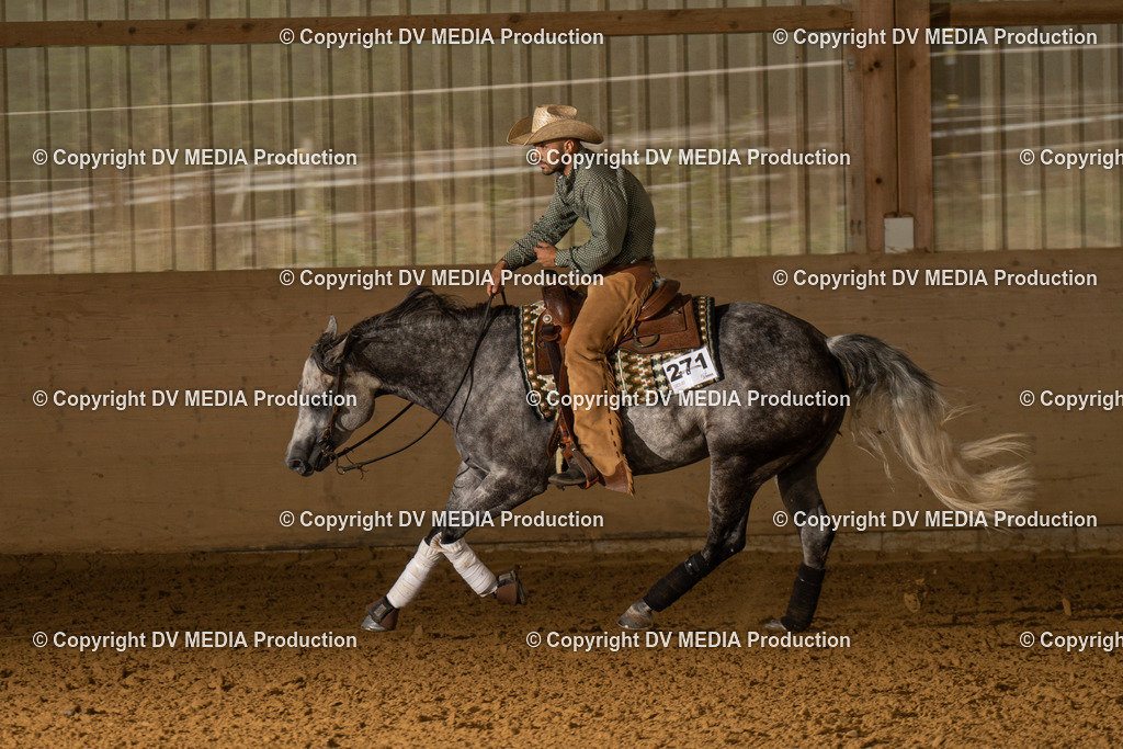 LAU00863 | dv-media-shop - Realisiert mit Pictrs.com