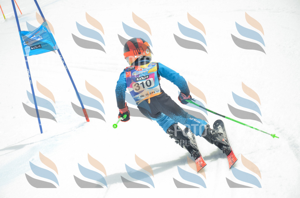 _ELE8395 | holidayphoto