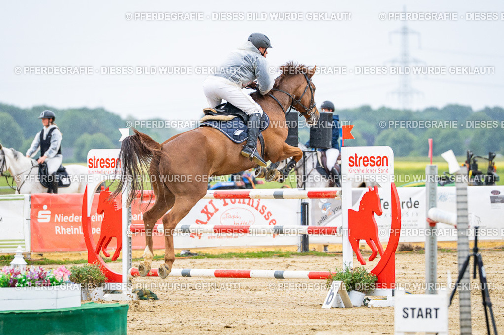 DSC08019 | Pferdegrafie