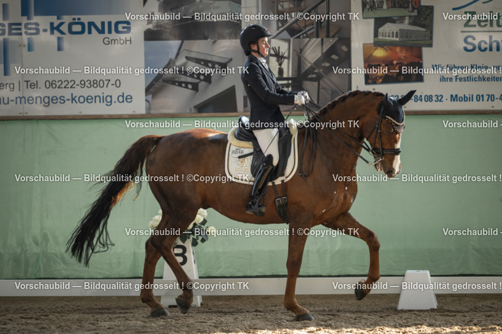 _D5A3113 | Emotionale Pferde- & People-Fotografie rund um Heidelberg, Leimen & Umgebung. Natürliche Fotos von Pferd, Mensch & Familie. Jetzt Termin sichern!