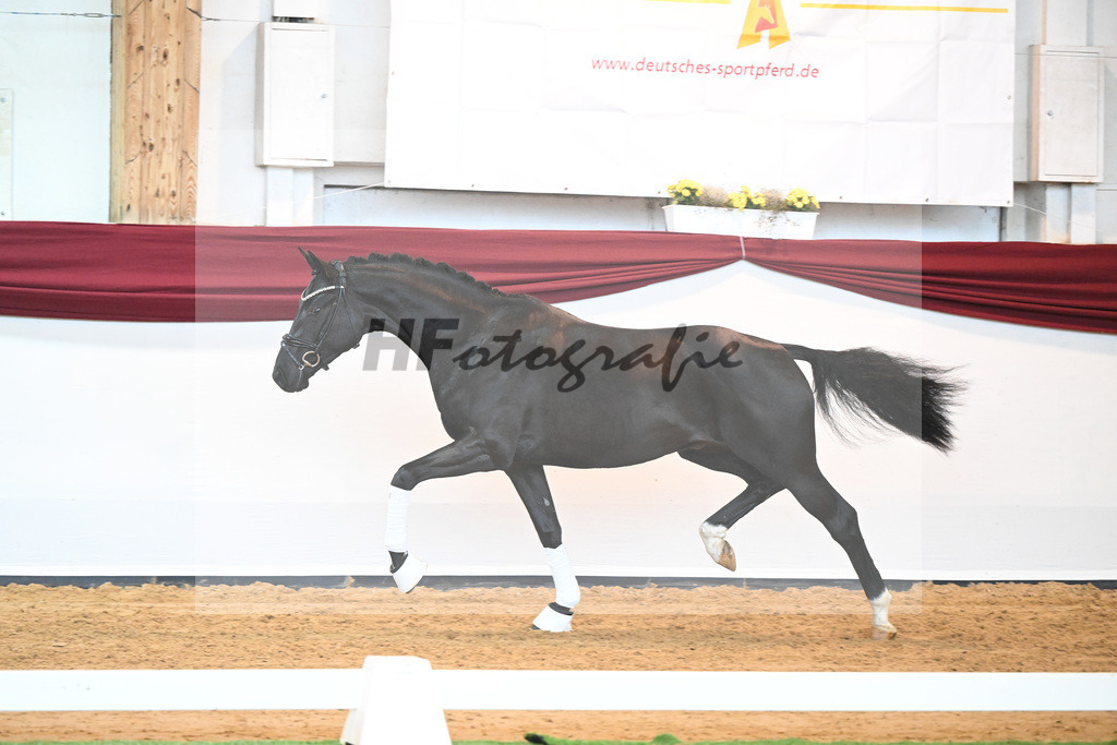 Kat-Nr. 51 v. Toto jr._Winklmaier_66220902 | hf-fotografie - Realisiert mit Pictrs.com